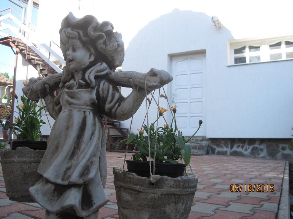 Zoltan & Erika Panzio Parajd Exterior foto